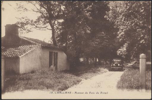 L'entrée du bois du Breuil (vues 1-2), les allées des Rallières (vue 3) et des Soupirs (vues 4-5) / Découpille phot. (vue 3).